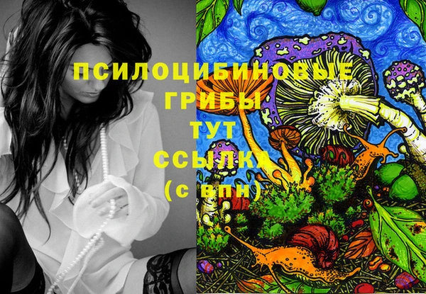 дмт Зерноград