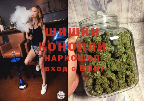 гидра Инта